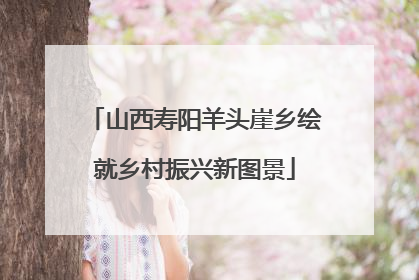 山西寿阳羊头崖乡绘就乡村振兴新图景