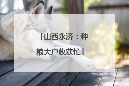 山西永济：种粮大户收获忙
