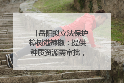 岳阳拟立法保护樟树港辣椒：提供种质资源需审批，违规最高罚5万