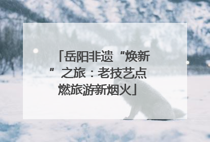 岳阳非遗“焕新”之旅：老技艺点燃旅游新烟火