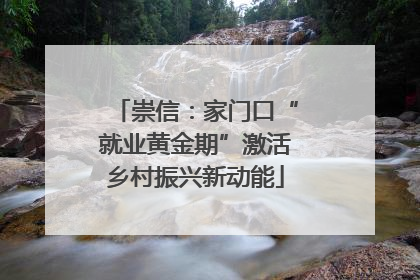 崇信：家门口“就业黄金期”激活乡村振兴新动能