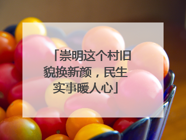 崇明这个村旧貌换新颜，民生实事暖人心