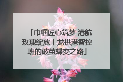 巾帼匠心筑梦 港航玫瑰绽放丨龙拱港智控班的破茧蝶变之路