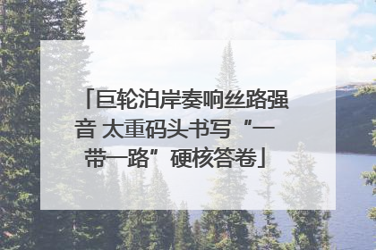 巨轮泊岸奏响丝路强音 太重码头书写“一带一路”硬核答卷