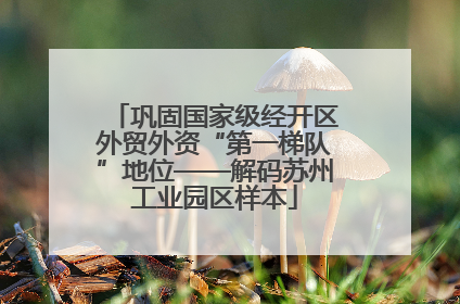 巩固国家级经开区外贸外资“第一梯队”地位——解码苏州工业园区样本