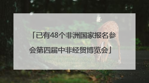 已有48个非洲国家报名参会第四届中非经贸博览会