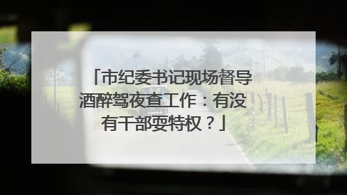 市纪委书记现场督导酒醉驾夜查工作：有没有干部耍特权？