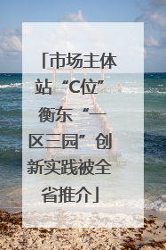 市场主体站“C位” 衡东“一区三园”创新实践被全省推介