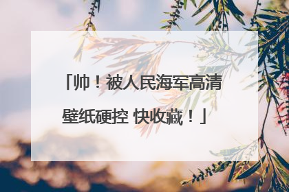 帅！被人民海军高清壁纸硬控 快收藏！