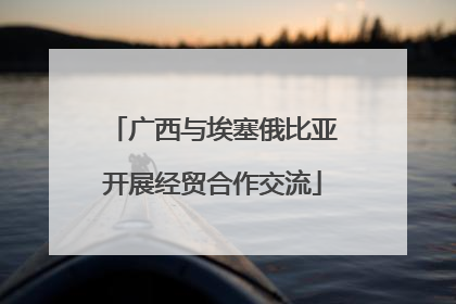 广西与埃塞俄比亚开展经贸合作交流