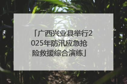 广西兴业县举行2025年防汛应急抢险救援综合演练