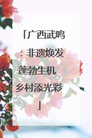 广西武鸣：非遗焕发蓬勃生机 乡村添光彩