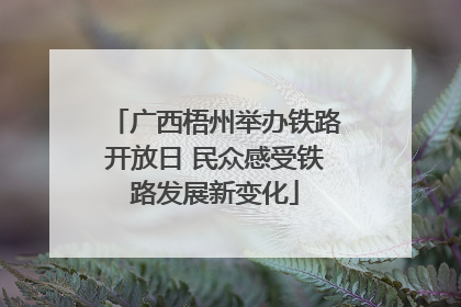广西梧州举办铁路开放日 民众感受铁路发展新变化