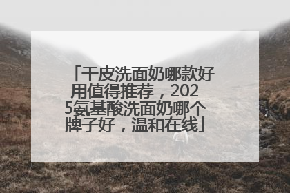 干皮洗面奶哪款好用值得推荐，2025氨基酸洗面奶哪个牌子好，温和在线