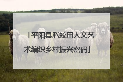 平阳县腾蛟用人文艺术编织乡村振兴密码