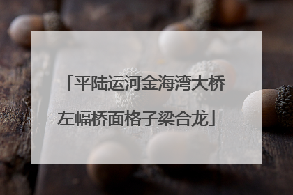 平陆运河金海湾大桥左幅桥面格子梁合龙