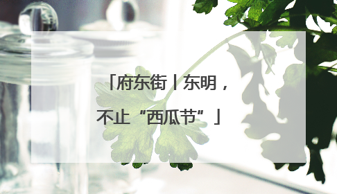 府东街丨东明，不止“西瓜节”