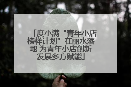 度小满“青年小店榜样计划”在丽水落地 为青年小店创新发展多方赋能