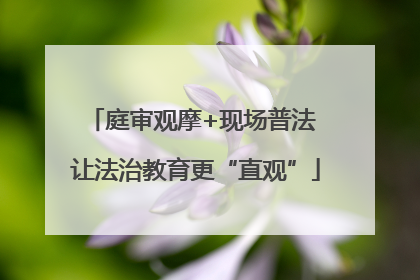 庭审观摩+现场普法 让法治教育更“直观”