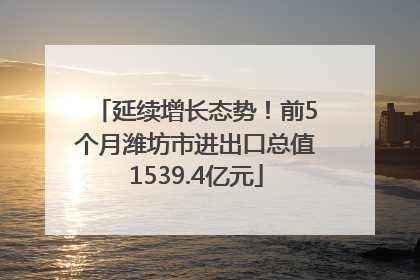 延续增长态势！前5个月潍坊市进出口总值1539.4亿元