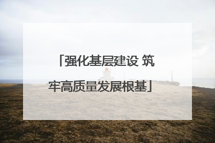 强化基层建设 筑牢高质量发展根基