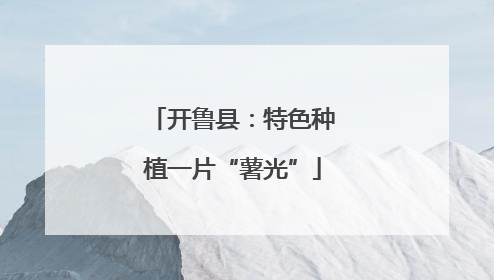 开鲁县：特色种植一片“薯光”