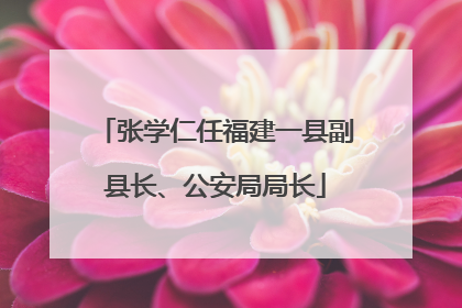张学仁任福建一县副县长、公安局局长