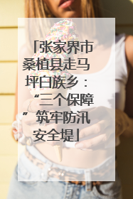 张家界市桑植县走马坪白族乡：“三个保障”筑牢防汛安全堤