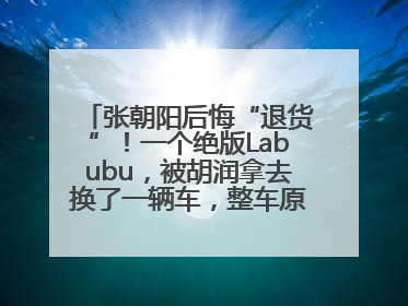 张朝阳后悔“退货”！一个绝版Labubu，被胡润拿去换了一辆车，整车原价值上百万元