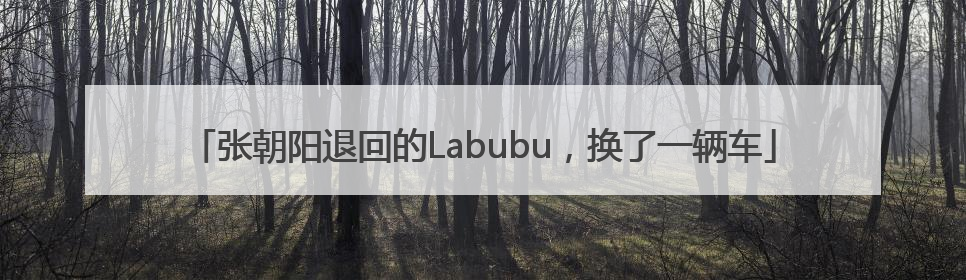 张朝阳退回的Labubu，换了一辆车