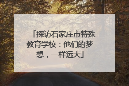 探访石家庄市特殊教育学校：他们的梦想，一样远大