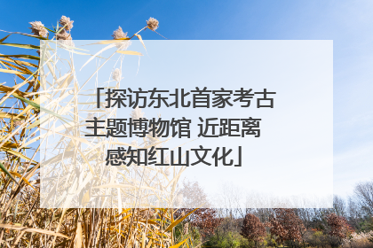 探访东北首家考古主题博物馆 近距离感知红山文化