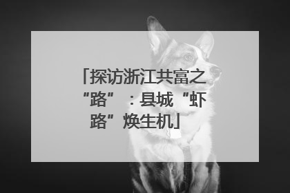 探访浙江共富之“路”：县城“虾路”焕生机