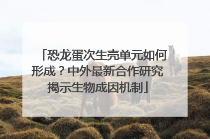 恐龙蛋次生壳单元如何形成？中外最新合作研究揭示生物成因机制