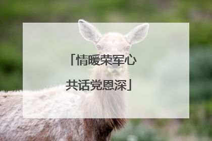 情暖荣军心 共话党恩深
