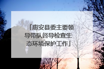 惠安县委主要领导带队督导检查生态环境保护工作