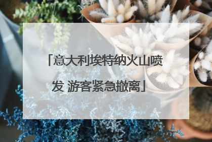 意大利埃特纳火山喷发 游客紧急撤离
