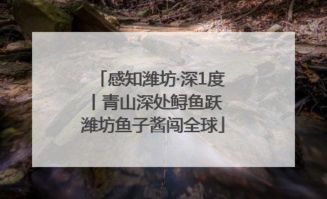 感知潍坊·深1度丨青山深处鲟鱼跃 潍坊鱼子酱闯全球
