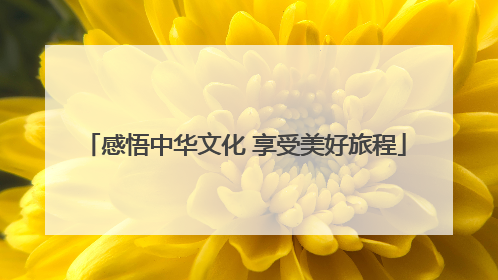 感悟中华文化 享受美好旅程