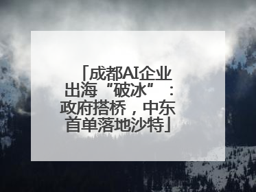 成都AI企业出海“破冰”：政府搭桥，中东首单落地沙特