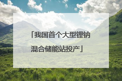 我国首个大型锂钠混合储能站投产