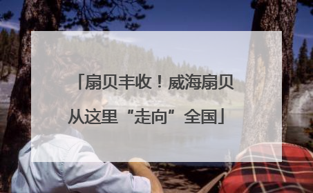 扇贝丰收！威海扇贝从这里“走向”全国
