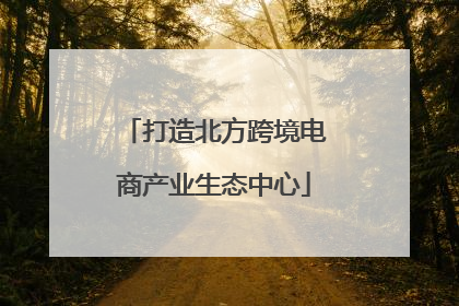 打造北方跨境电商产业生态中心