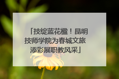 技绽蓝花楹！昆明技师学院为春城文旅添彩展职教风采