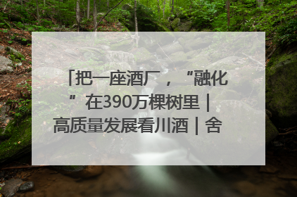 把一座酒厂，“融化”在390万棵树里｜高质量发展看川酒｜舍得酒｜舍得酒业｜舍得老酒｜沱牌酒