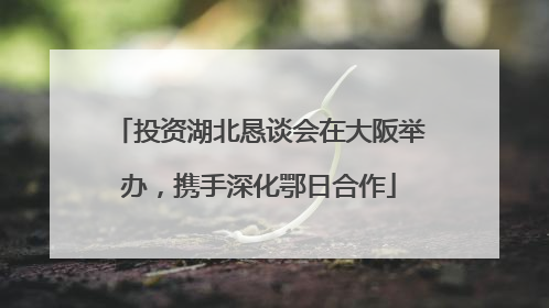 投资湖北恳谈会在大阪举办，携手深化鄂日合作