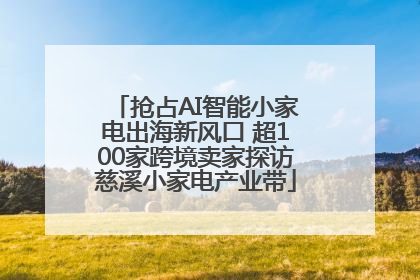 抢占AI智能小家电出海新风口 超100家跨境卖家探访慈溪小家电产业带