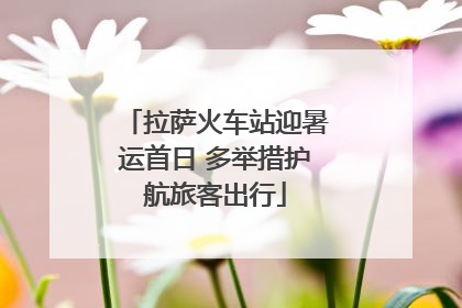拉萨火车站迎暑运首日 多举措护航旅客出行