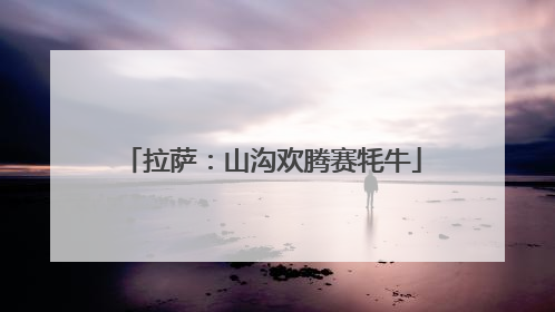 拉萨：山沟欢腾赛牦牛