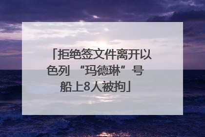 拒绝签文件离开以色列 “玛德琳”号船上8人被拘